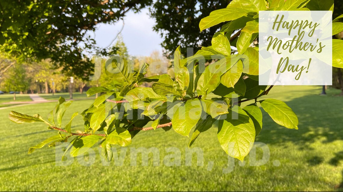 Mothers Day Zoom Background Featuring Fine Art Photography of Etsy