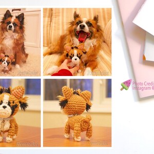 Custom Crochet Plush Dog, amigurumi for dog lover, custom pet dog portrait, dog lover gift, plush pet memorial, personalized dog gift Mixed+Extra Fluff