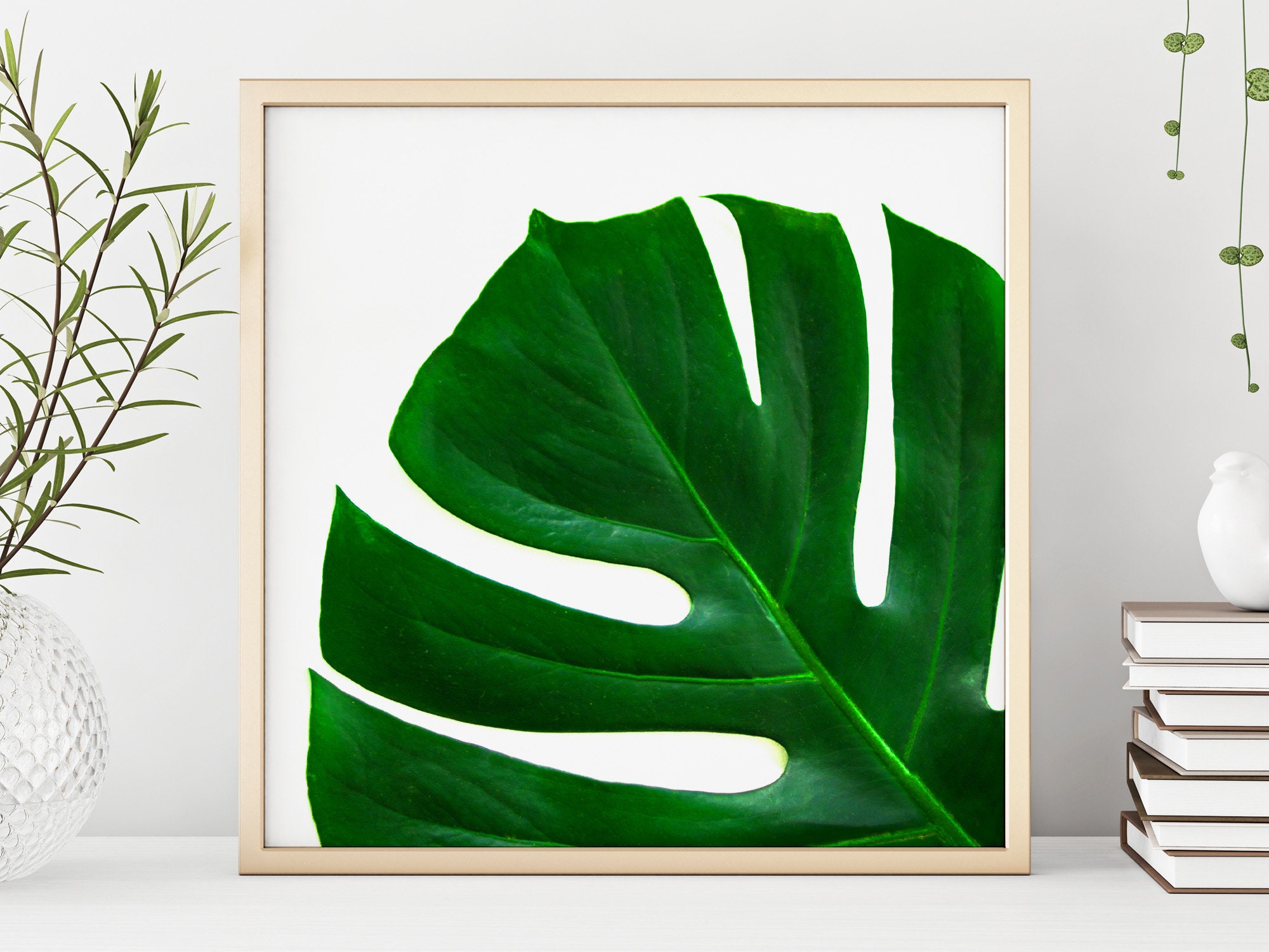 Tropical Wall Decor monstera Leaves Etsy