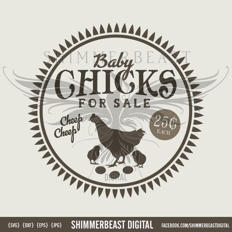 Baby Chicks For Sale SVG Vintage Farm SVG chick svg Etsy