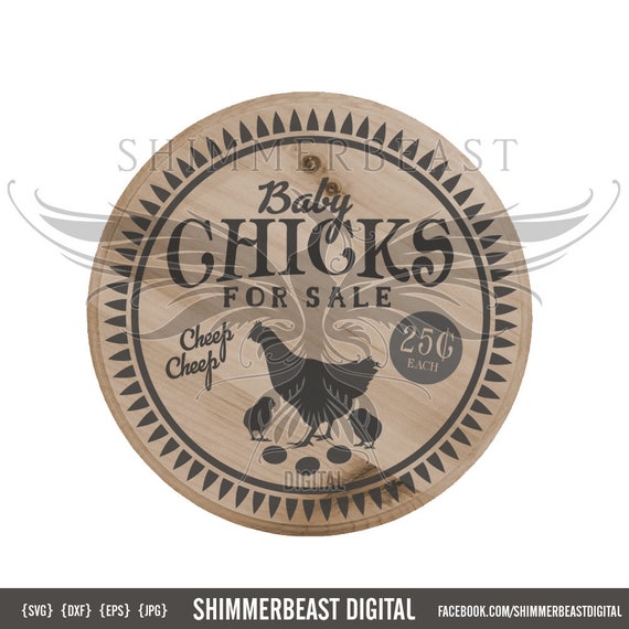 Download Baby Chicks For Sale Svg Vintage Farm Svg Chick Svg Etsy