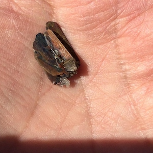 May include: A small, dark brown and black crystal with a layered, striated texture. The crystal is resting in the palm of a hand.