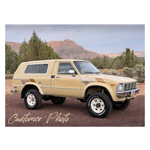 1981-1983 Trekker Decal Kit w/ Rear Hatch Decal