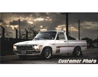 1979-1980 2WD Stripe Kit w/ Tailgate and Hood (Short Bed)