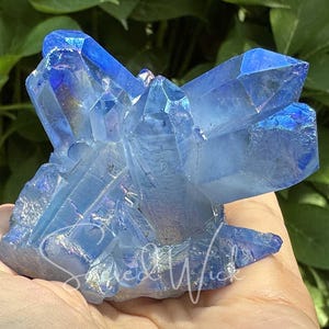 May include: A cluster of blue crystals with iridescent surfaces. The crystals have sharp, pointed edges and a rough, textured base. The crystals are held in a hand, with green foliage in the background. The text "Sacred Wick" is visible on the crystal.