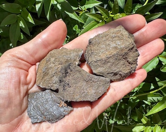 Magnetite di calamita media – Scegli tra maschio, femmina o coppia abbinata per attrazione, radicamento e bilanciamento energetico, manifestazione, guarigione, fortuna