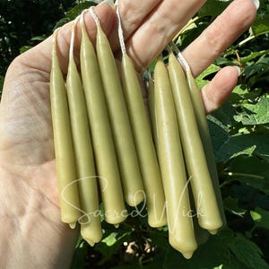Real Bayberry Mini Taper Candles Hand-Dipped with Pure Bayberry and Beeswax for Prosperity, Money Draw, Spells, Energy, Yule, Christmas