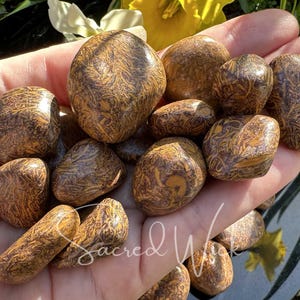 Calligraphy Stone, Mariam Jasper, Arabic Script Stone, Elephant Skin Jasper Tumbled Stone for Divination, Guidance, Guides, Past Life Recall
