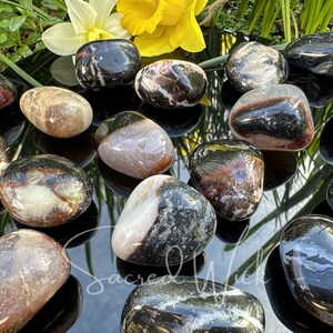 Several black sardonyx large tumbled crystals lie on a black obsidian mirror displaying variations in size, shape, and markings.