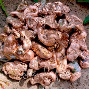 Copper Nugget Tumbled For Energy Work, Channeling, Manifestation, Energy Conduit, Balance, Wisdom, Amplification, Respect, Grids