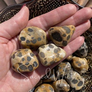 Cheetah Jasper AA+ Tumbled Stone Leopard Jasper for Shamanic Journey, Harmony, Stability, Strength, Protection, Balance, Clarity, Grounding