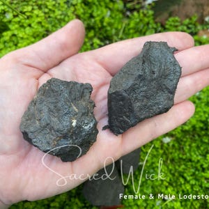 Op de afbeelding: Twee donkergrijze loodstenen, waarvan één groter is dan de ander, worden in een open hand gehouden tegen een achtergrond van groen gebladerte. De tekst "Female & Male Lodestone Pair" is zichtbaar.