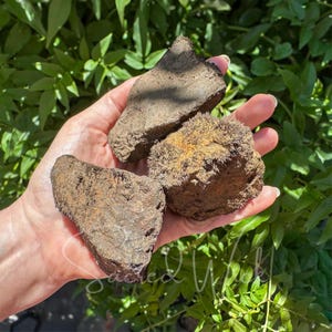 X-Large LODESTONE MAGNETITE – Choose Male, Female, or Matched Pair for Attraction, Grounding, Energy Balancing, Manifesting, Healing, Luck