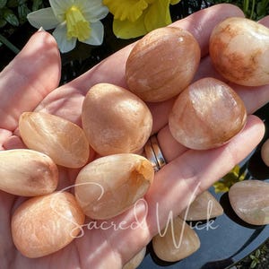 Può includere: Una collezione di dieci pietre lisce, levigate, di colore arancio chiaro e bianco. Le pietre sono disposte in una mano, con alcune pietre su una superficie nera.
