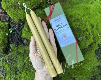 Real BAYBERRY TAPER CANDLES 8-Inch Pair – Hand-Dipped Traditional Bayberry & Beeswax for Christmas, New Year's, Holiday Gifts, Décor