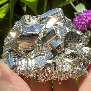Puede incluir: Un grupo de cristales de pirita, también conocida como oro de los tontos, con una superficie metálica y reflectante. Los cristales son una mezcla de formas cúbicas e irregulares, con una textura natural y rugosa. El fondo incluye follaje verde y flores moradas.