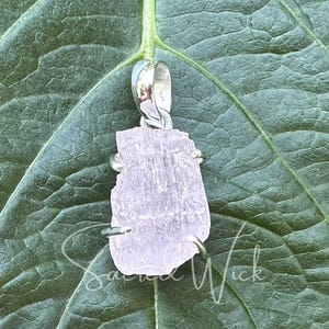 natural aa+ quality pink kunzite nugget pendant set in sterling silver on a leaf showing the color and detail of the raw pink kunzite stone