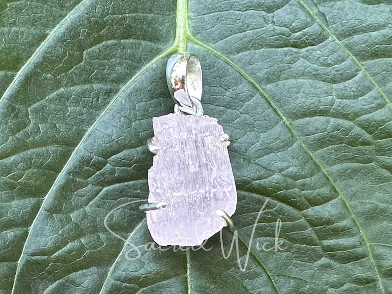 natural aa+ quality pink kunzite nugget pendant set in sterling silver on a leaf showing the color and detail of the raw pink kunzite stone