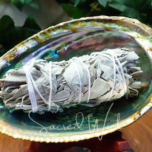 Abalone Shell Large Smudge Bowl with White Sage Bundle for Smudging, Burning Incense, Offerings, Water Magick, Altar Decor, Witchcraft