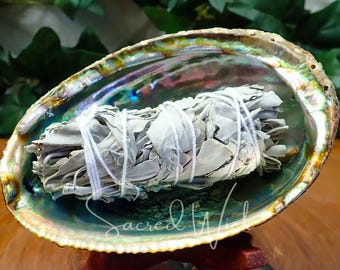 Abalone Shell Large Smudge Bowl with White Sage Bundle for Smudging, Burning Incense, Offerings, Water Magick, Altar Decor, Witchcraft