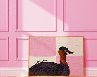 Little Grebe : Dopamine Decor Nature Bird Wall Print
