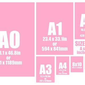 May include: A pink chart with the standard paper sizes labeled A0 through A5, along with 8x10 and 5x7 sizes. The chart shows the dimensions in inches and millimeters.
