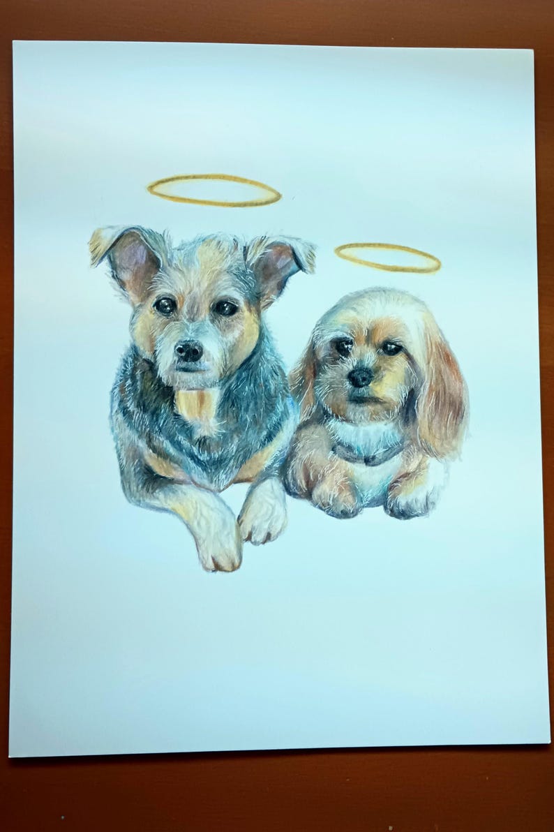 Hand Drawn Colored Pencil Custom Pet Portrait Drawing - Etsy