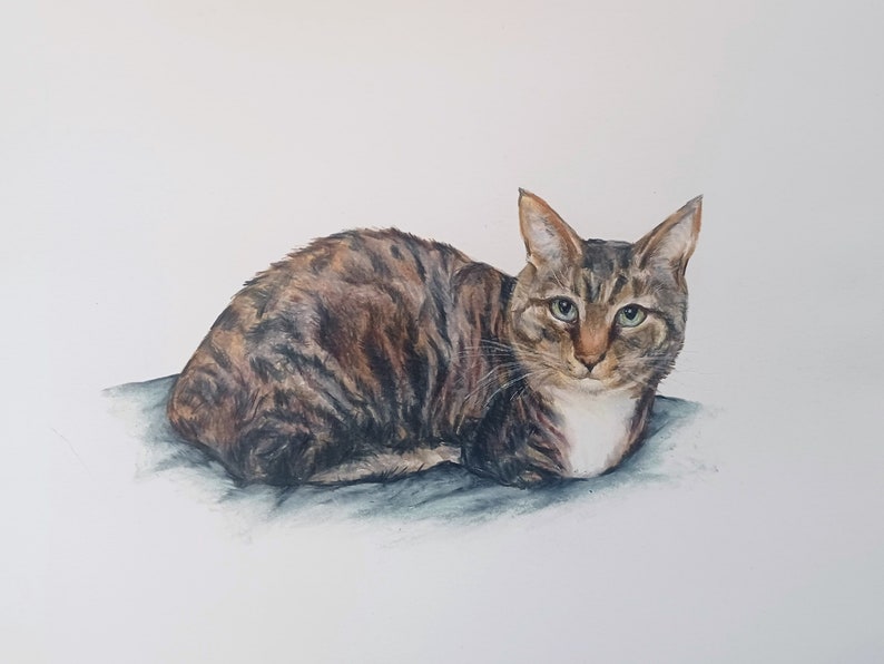 Hand Drawn Colored Pencil Custom Pet Portrait Drawing - Etsy