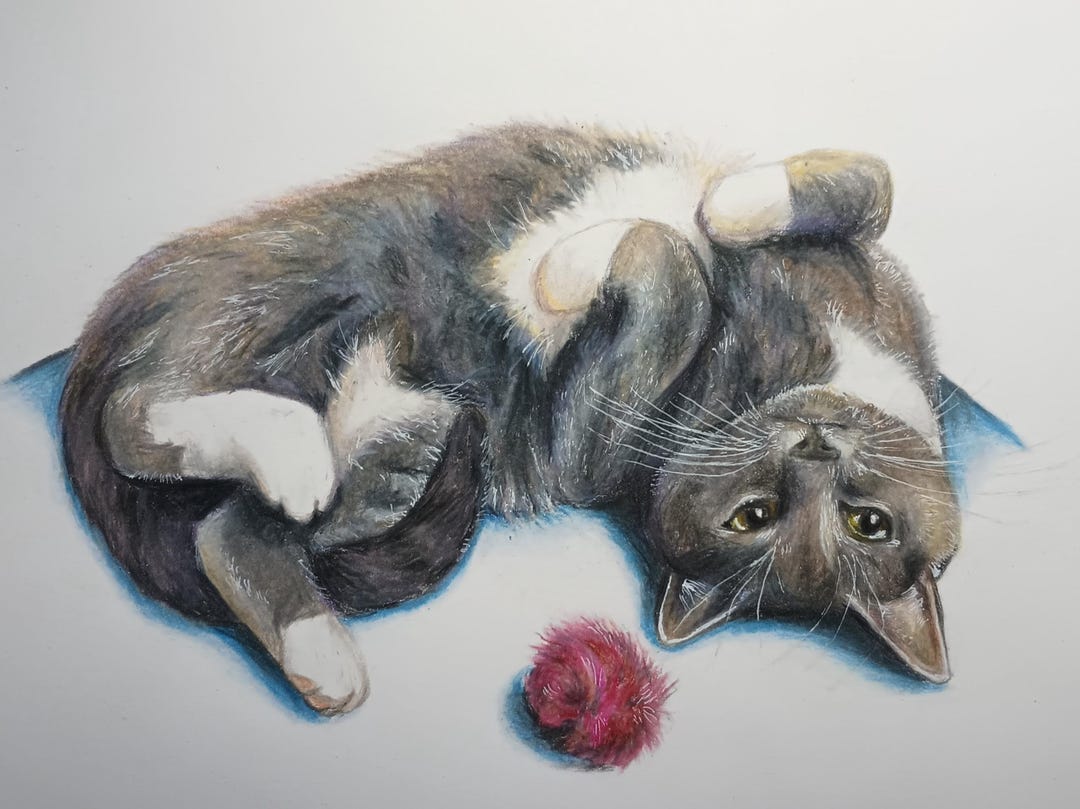 Hand Drawn Colored Pencil Custom Pet Portrait Drawing - Etsy