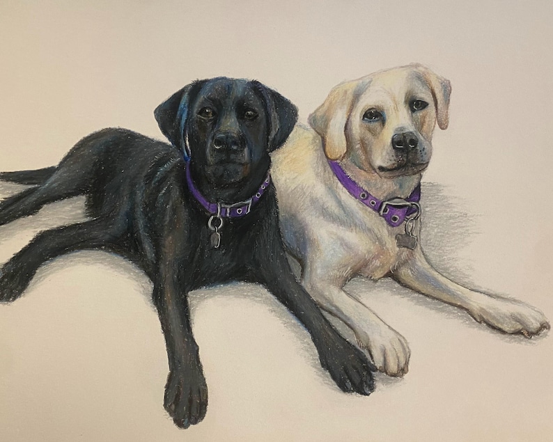 Hand Drawn Colored Pencil Custom Pet Portrait Drawing - Etsy