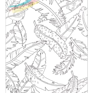 Feather Printable Coloring Page