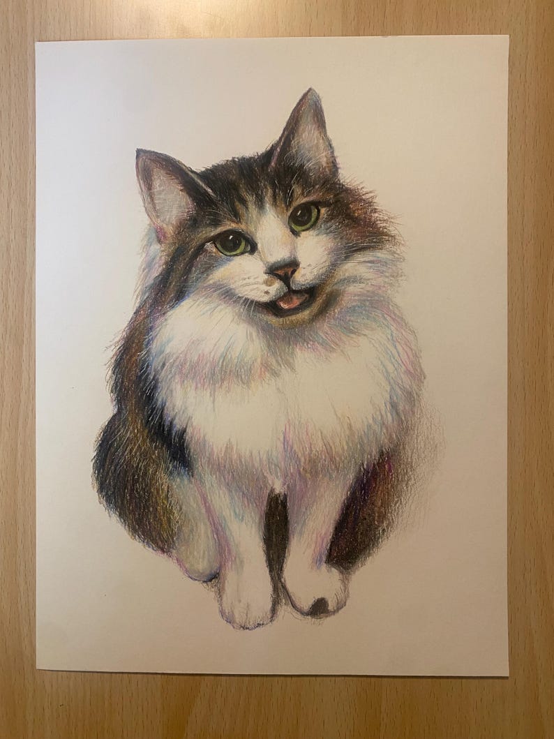 Hand Drawn Colored Pencil Custom Pet Portrait Drawing - Etsy