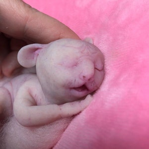 Custom Full body silicone sleeping baby hybrid #1