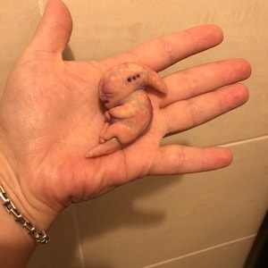 AVAILABLE Prototype full body silicone mini alien (alien fetus)