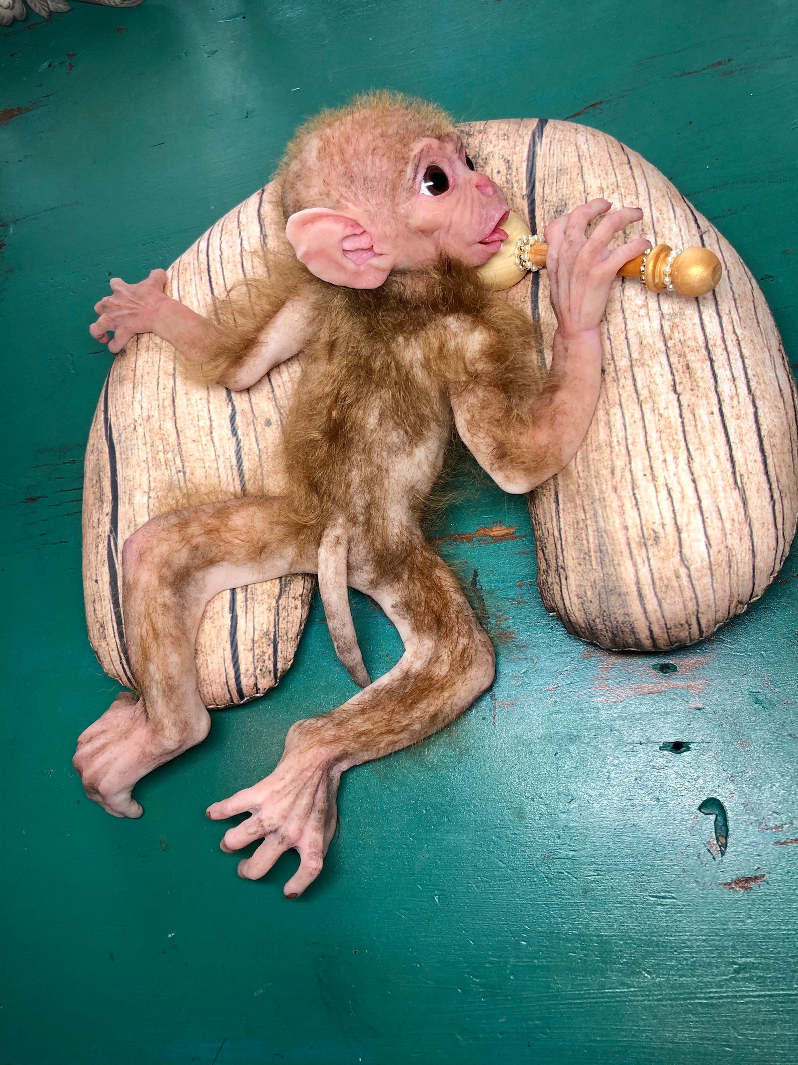 Discover Bibi: The Monkey Species That'S Taking Over The Internet - 2xwzqwn