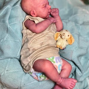 AVAILABLE sold out limited edition Vinyl reborn Pascale full limbs, non gender belly plate sculpted by Joanna Kazmierczak-Pietka