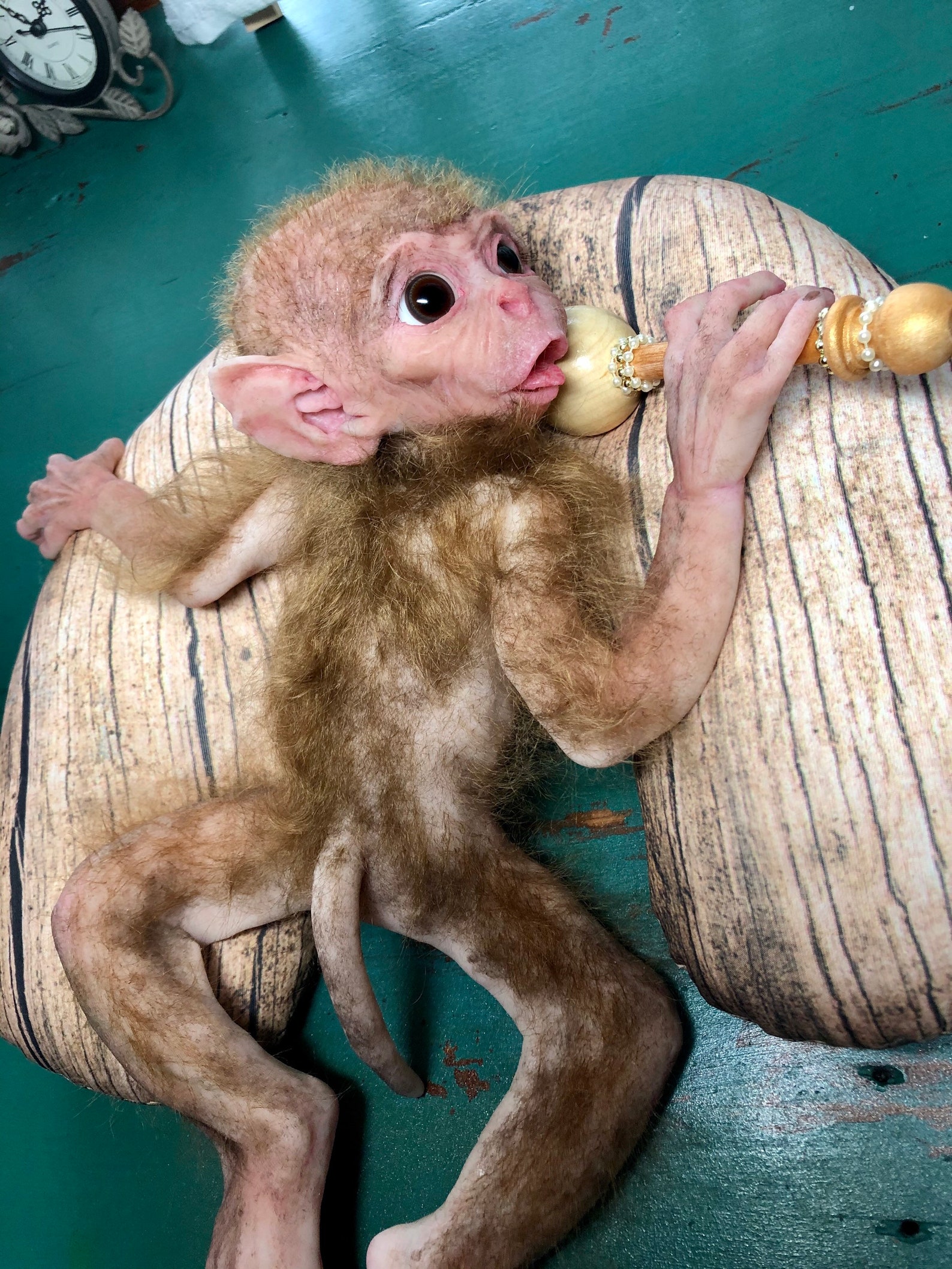 Bibi Monkey Youtube - ip39xq0