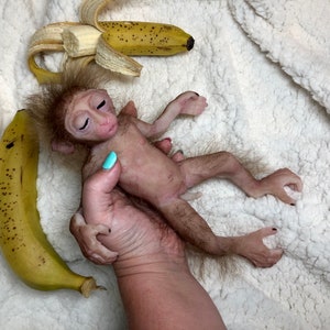 Full body silicone mini baby monkey in super soft marshmallow blend