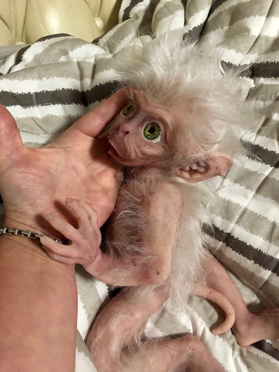 Albino Monkey albino monkey sushi making kit - become an expert in