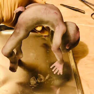 AVAILABLE Full body silicone alien baby (Hope in super soft blend)