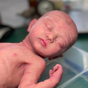 NOT AVAILABLE full body silicone baby Hannah Saxton