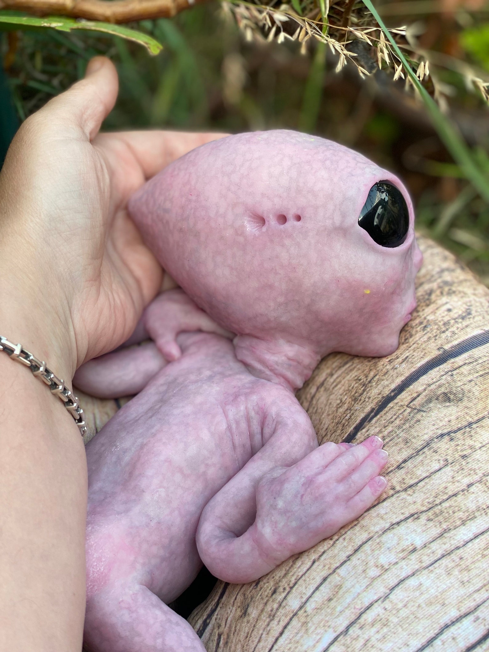 Full Body Silicone Fantasy Alien Baby Girl - Etsy
