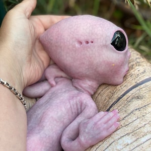 Full body silicone fantasy alien baby girl