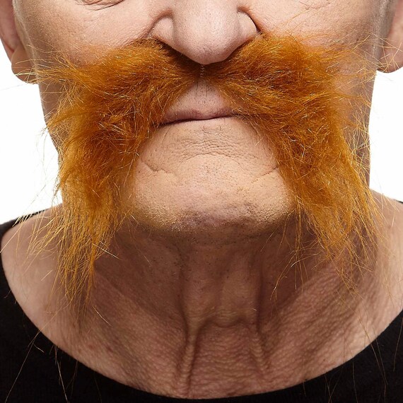 Realistic Fu Manchu Ginger Mustache 179 Lb Etsy