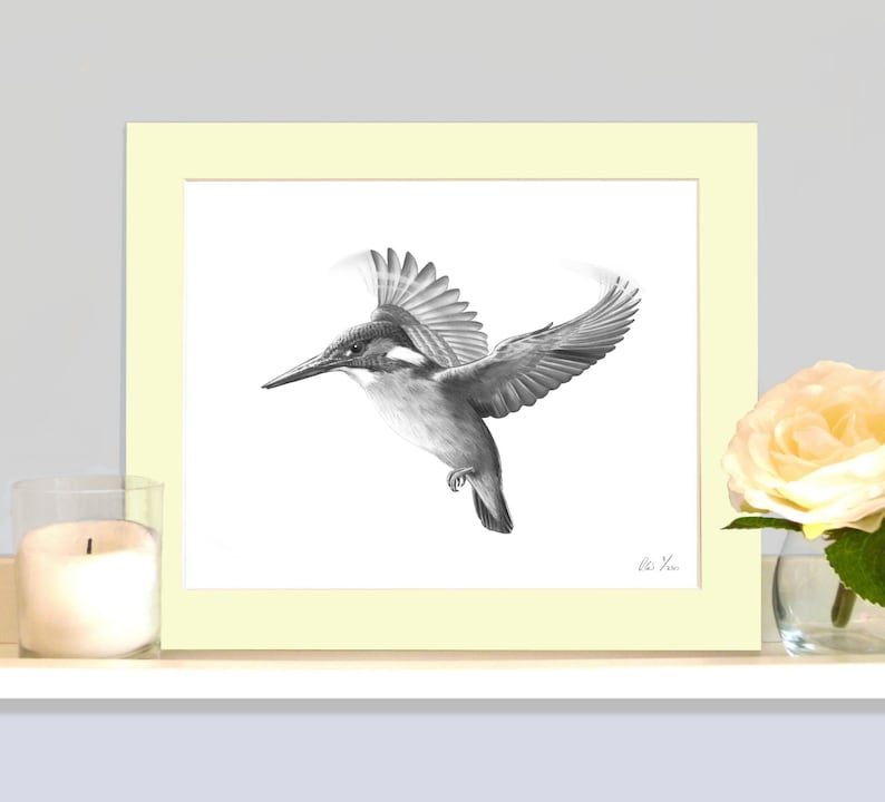 Impression de dessin au crayon Kingfisher Hovering en édition limitée signée image 2