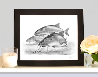 Barbel On The Pellets Limited Edition Fishing Art