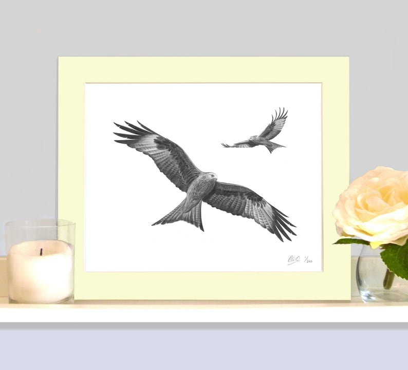 May include: A framed pencil drawing of two birds of prey in flight. The larger bird is in the foreground with its wings spread wide, showcasing detailed feather patterns. The second bird is smaller and in the background. The frame is light yellow.
