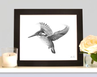 Kingfisher Hovering Limited Edition Pencil Drawing Print Signed