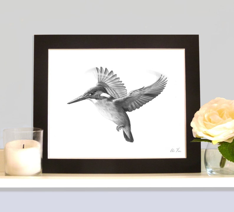 Impression de dessin au crayon Kingfisher Hovering en édition limitée signée image 1