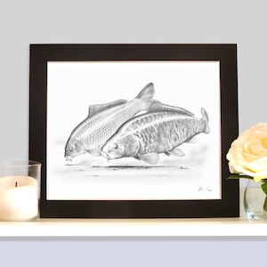Op de afbeelding: Zwart-witte potloodtekening van twee karpers die in een vijver zwemmen. De tekening is ingelijst in een zwart lijst en voorzien van een witte passe-partout.